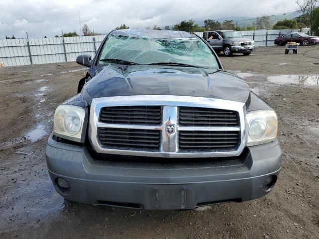 2005 Dodge Dakota Quattro