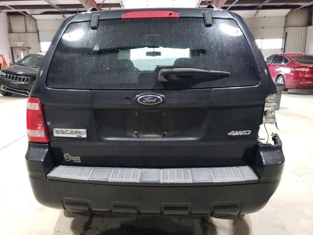 2009 Ford Escape XLT