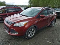 2014 Ford Escape SE en venta en Arlington, WA