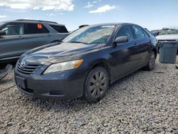 Toyota Camry CE salvage cars for sale: 2007 Toyota Camry CE