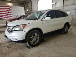 Salvage cars for sale at Columbia, MO auction: 2010 Honda CR-V EXL