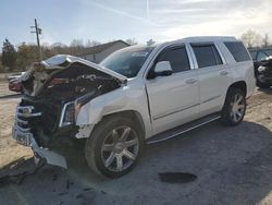 Salvage cars for sale from Copart York Haven, PA: 2018 Cadillac Escalade Luxury