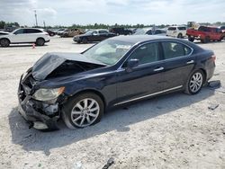 Lexus LS460 salvage cars for sale: 2007 Lexus LS 460