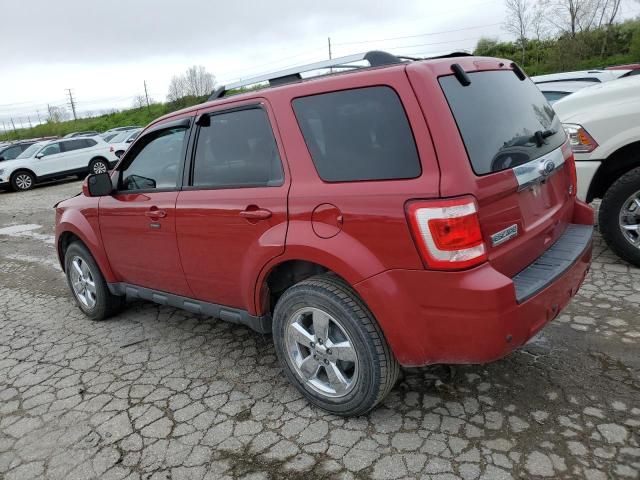 2011 Ford Escape Limited