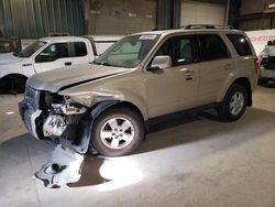 Salvage cars for sale at Eldridge, IA auction: 2012 Ford Escape Limited
