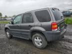 2004 Ford Escape XLS