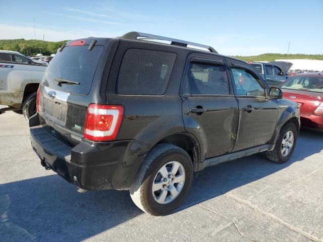 2010 Ford Escape Limited