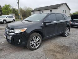 Salvage cars for sale at York Haven, PA auction: 2013 Ford Edge Limited