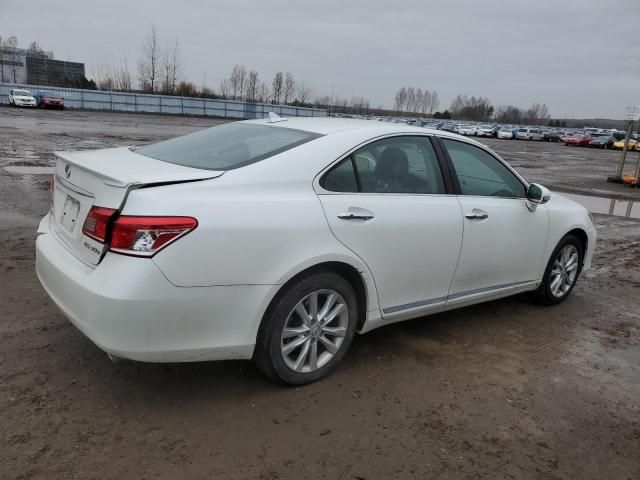 2010 Lexus ES 350