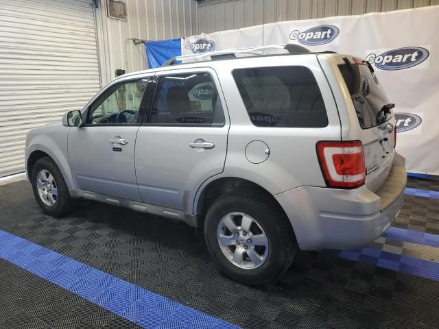 2010 Ford Escape Limited