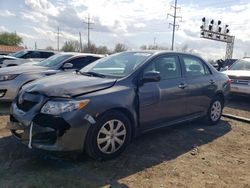 Salvage cars for sale at Columbus, OH auction: 2010 Toyota Corolla Base