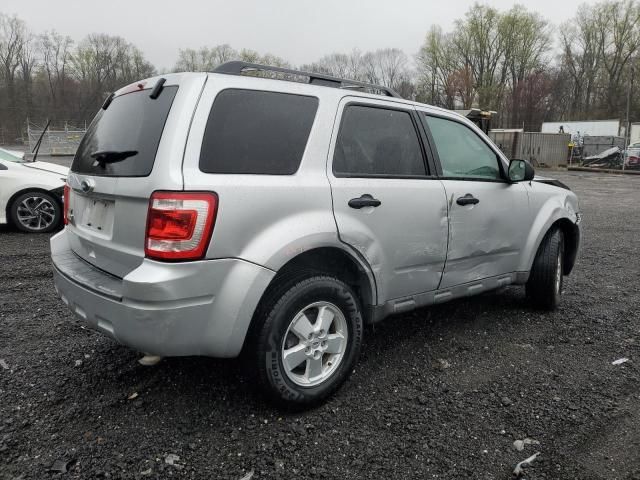 2010 Ford Escape XLT