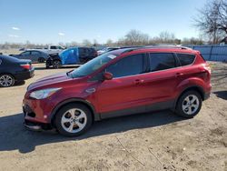 Ford salvage cars for sale: 2014 Ford Escape SE