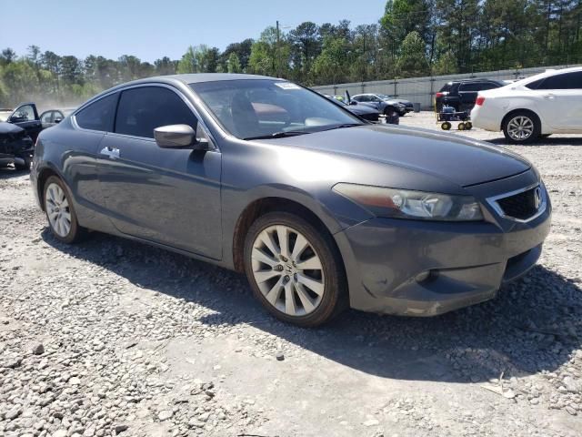 2010 Honda Accord EXL