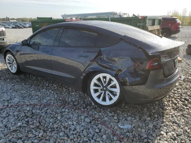 2021 Tesla Model 3