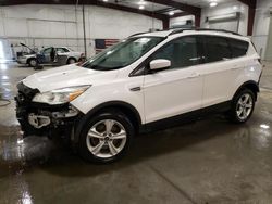 Salvage cars for sale at Avon, MN auction: 2014 Ford Escape SE