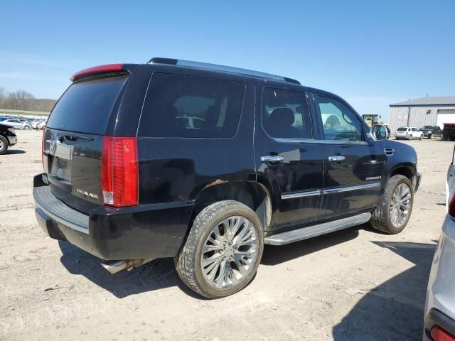 2009 Cadillac Escalade Sport