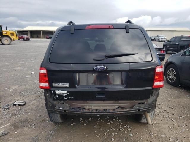 2011 Ford Escape XLT