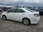 2010 Lexus HS 250H