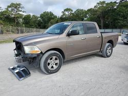 Salvage cars for sale from Copart Fort Pierce, FL: 2010 Dodge RAM 1500