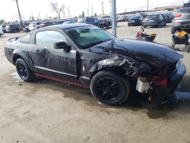 2005 Ford Mustang