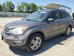 Honda salvage cars for sale: 2010 Honda CR-V EX