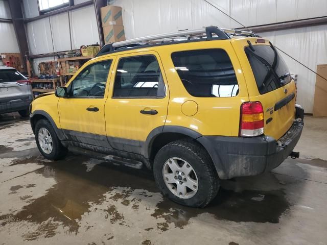 2003 Ford Escape XLT