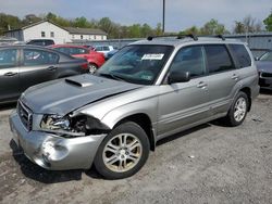 Salvage cars for sale at York Haven, PA auction: 2005 Subaru Forester 2.5XT