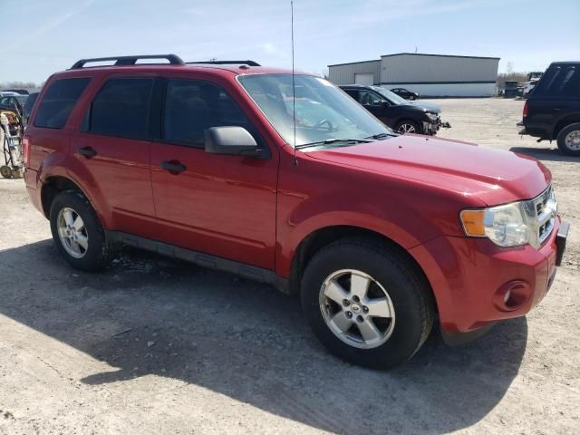 2010 Ford Escape XLT