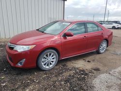 Salvage cars for sale at Temple, TX auction: 2012 Toyota Camry Hybrid