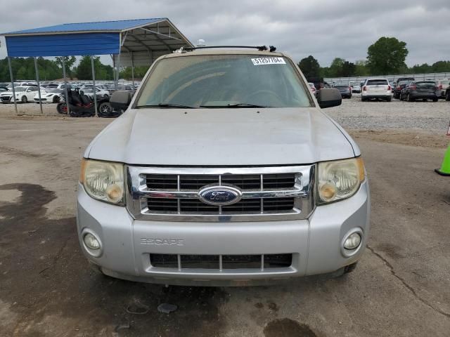 2008 Ford Escape XLT