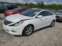 Salvage cars for sale at Memphis, TN auction: 2013 Hyundai Sonata SE