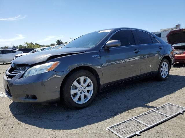 2008 Toyota Camry Hybrid