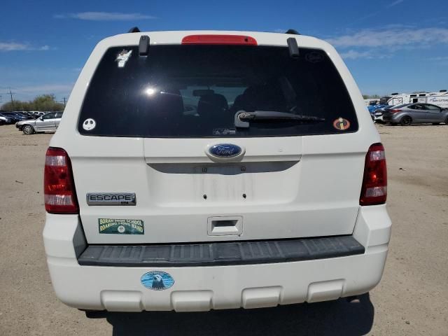 2010 Ford Escape XLT