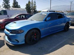 Salvage cars for sale from Copart Rancho Cucamonga, CA: 2015 Dodge Charger R/T Scat Pack