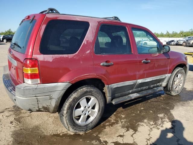 2004 Ford Escape XLT