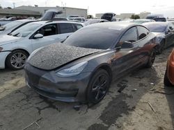 Salvage cars for sale from Copart Martinez, CA: 2019 Tesla Model 3