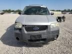 2005 Ford Escape XLT