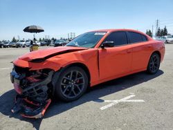 Salvage cars for sale at Rancho Cucamonga, CA auction: 2019 Dodge Charger SXT