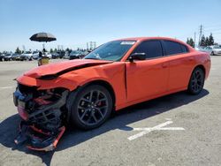 Dodge salvage cars for sale: 2019 Dodge Charger SXT