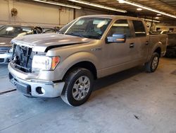 Ford Vehiculos salvage en venta: 2011 Ford F150 Supercrew