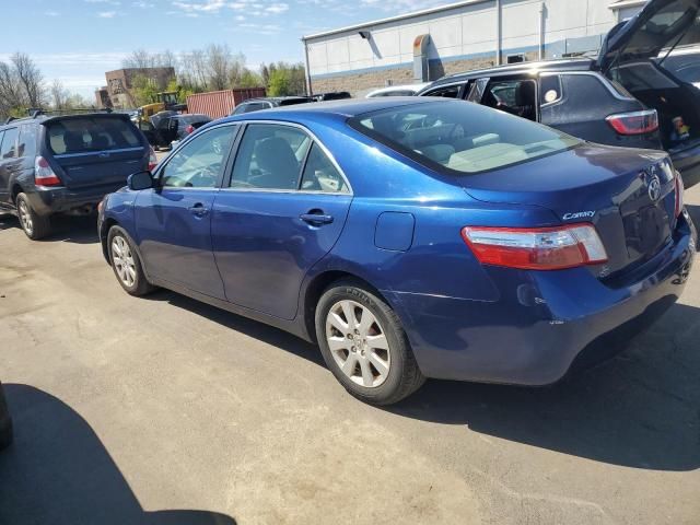 2009 Toyota Camry Hybrid