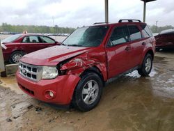 Salvage cars for sale at Hueytown, AL auction: 2010 Ford Escape XLT