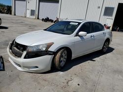 Salvage cars for sale from Copart Gaston, SC: 2008 Honda Accord EXL