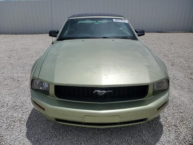 2005 Ford Mustang