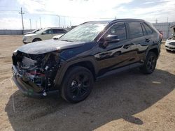 Salvage cars for sale at Greenwood, NE auction: 2023 Toyota Rav4 XLE