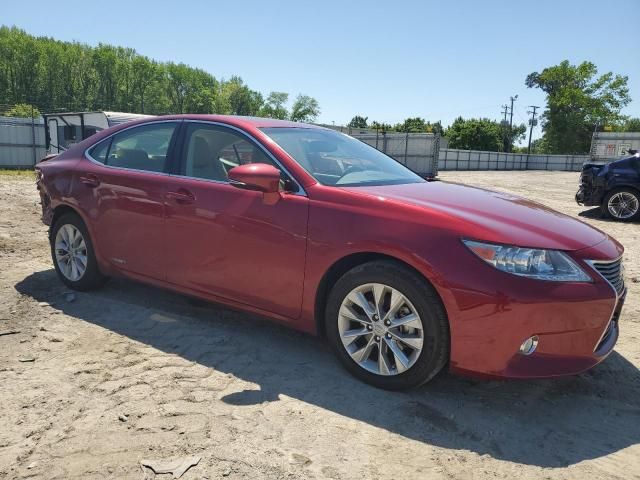 2013 Lexus ES 300H