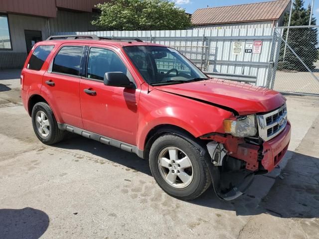 2009 Ford Escape XLT