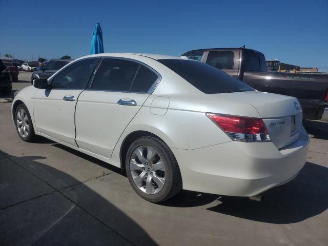 2008 Honda Accord EXL