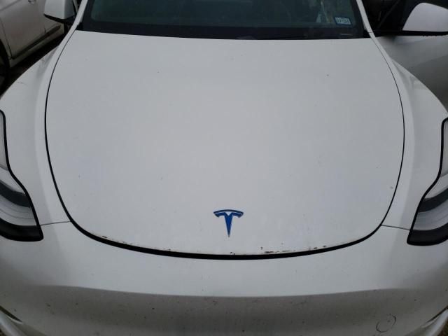 2020 Tesla Model Y